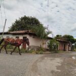 Registro de exploración en Amaime - Sara